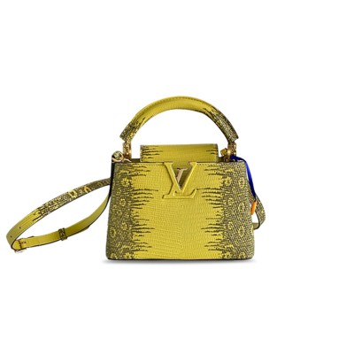 LOUIS VUITTON CAPUCINES MINI M98156 (21*14*8cm)